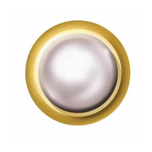 Cassette Studs Gold Solid Shape White Pearl